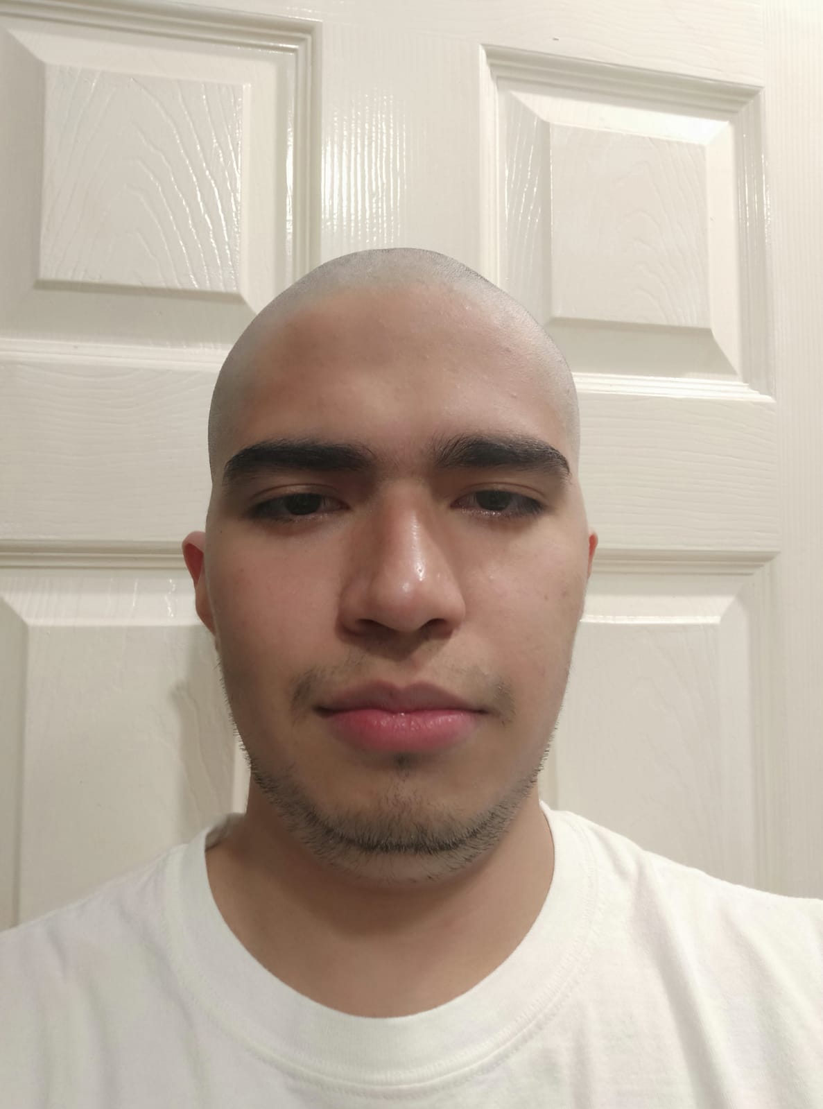 Gangriniculus Grogcianus